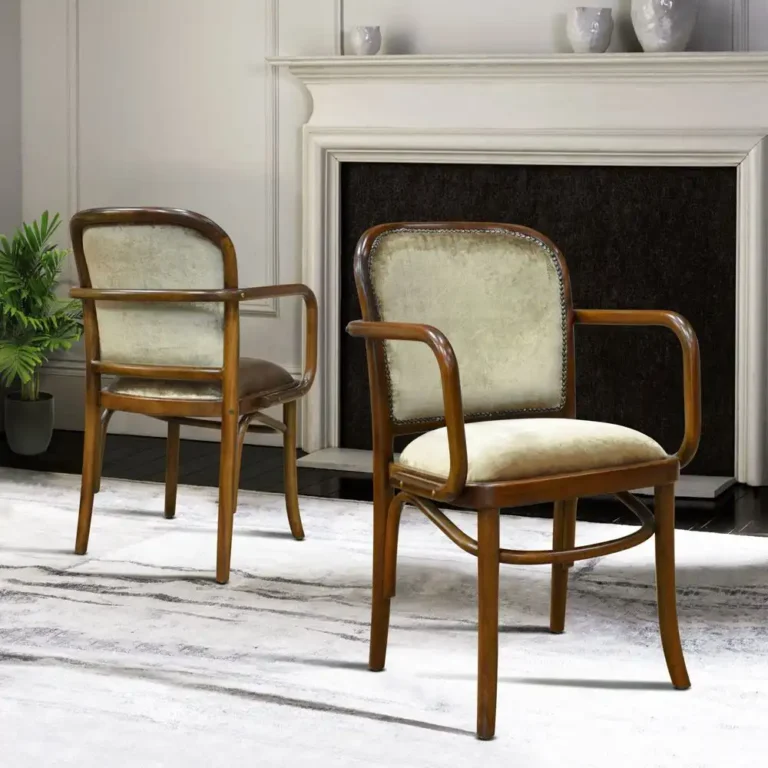 arm chair tonet hoffman with chusion
