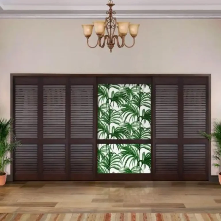 closet door dt 01